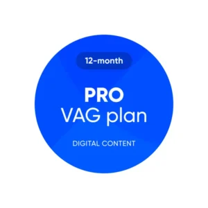 OBDeleven PRO 12-month plan